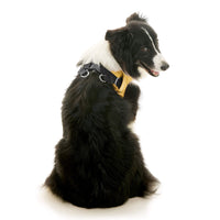 Escape Free Easy Fit X