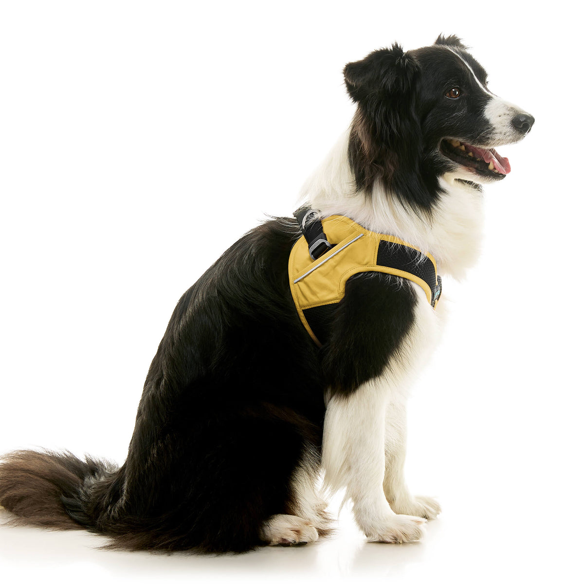 Escape Free Easy Fit X