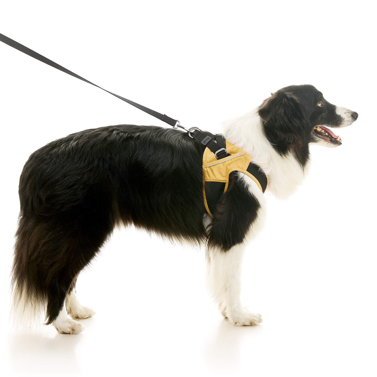 Escape Free Easy Fit X