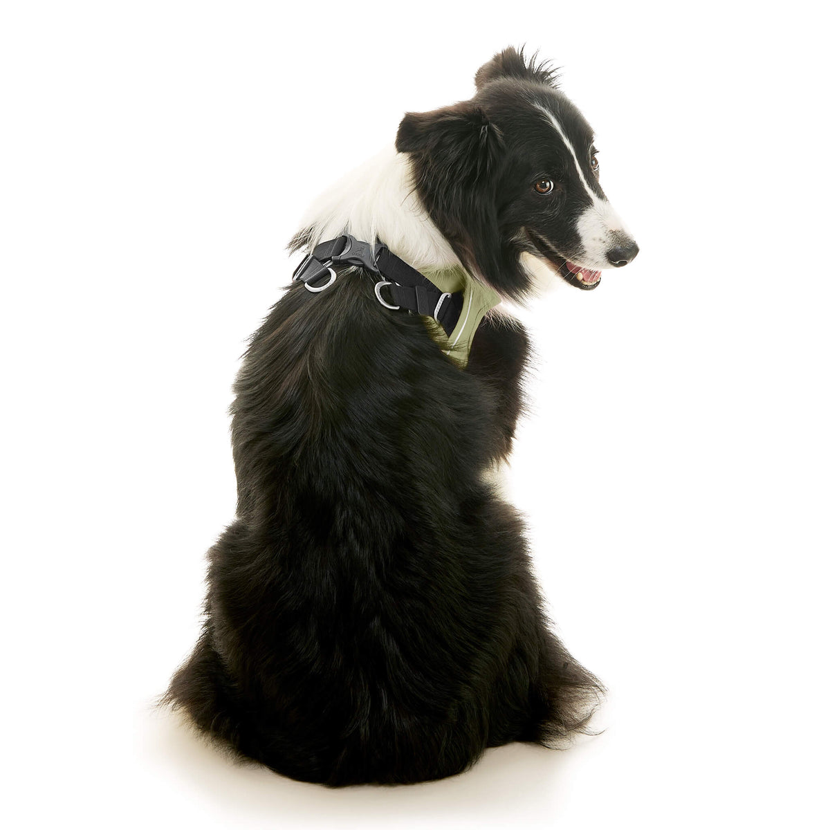 Escape Free Easy Fit X