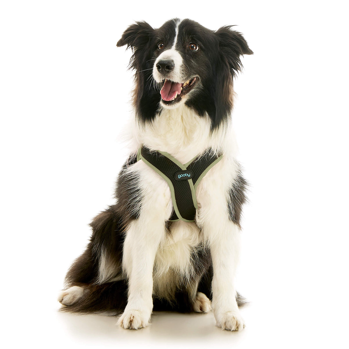 Escape Free Easy Fit X