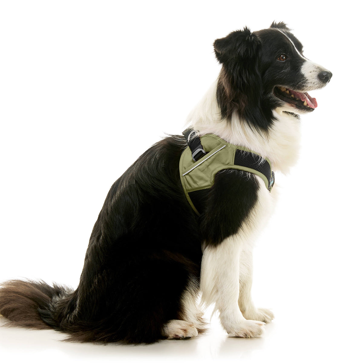 Escape Free Easy Fit X