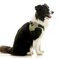 Escape Free Easy Fit X