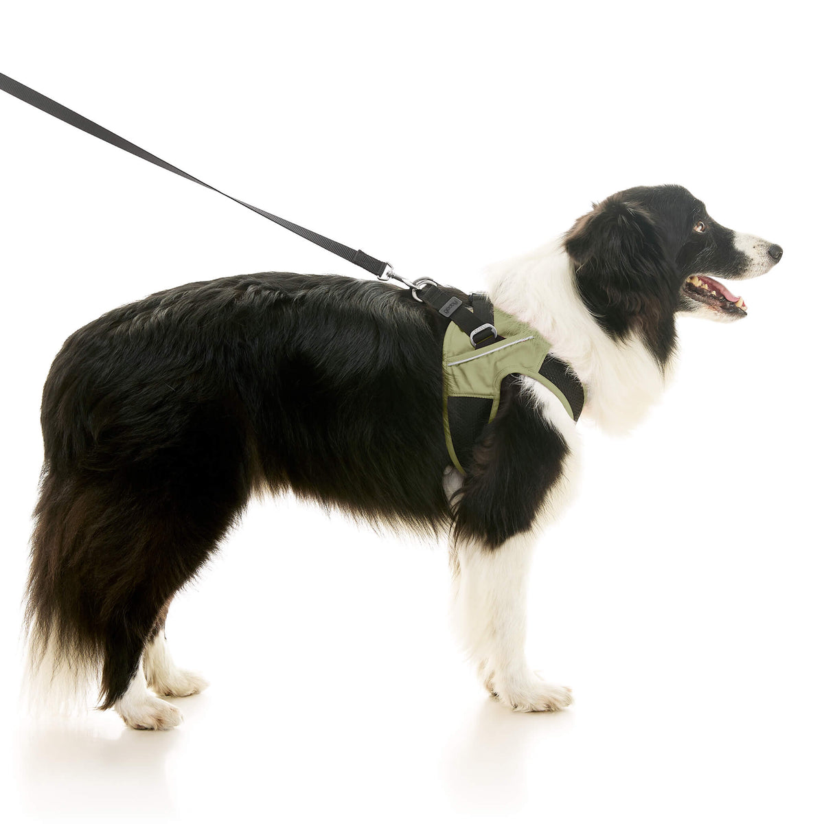 Escape Free Easy Fit X