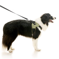 Escape Free Easy Fit X