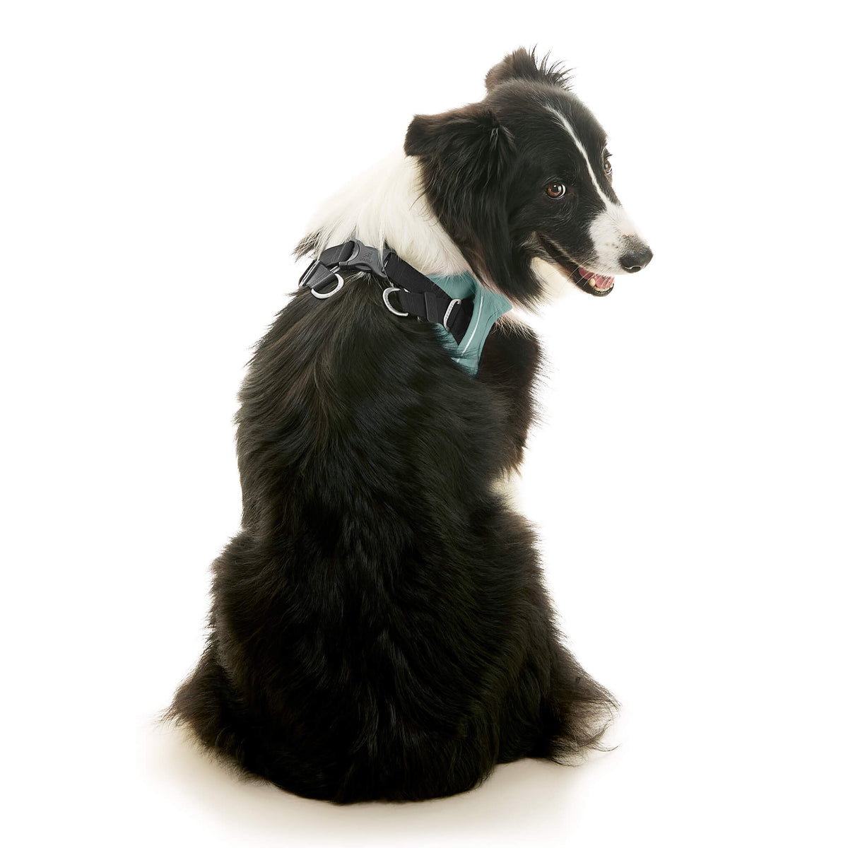 Escape Free Easy Fit X