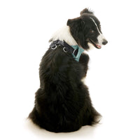 Escape Free Easy Fit X