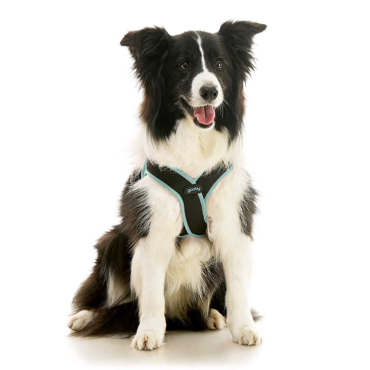 Escape Free Easy Fit X