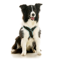 Escape Free Easy Fit X