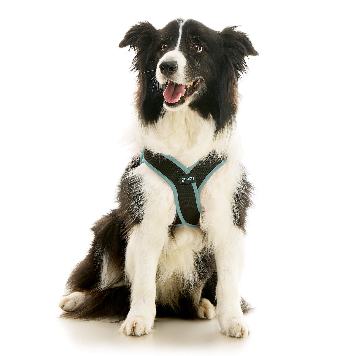 Escape Free Easy Fit X