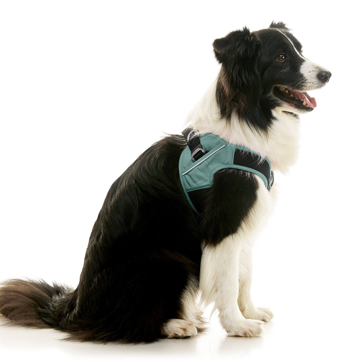 Escape Free Easy Fit X