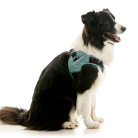 Escape Free Easy Fit X