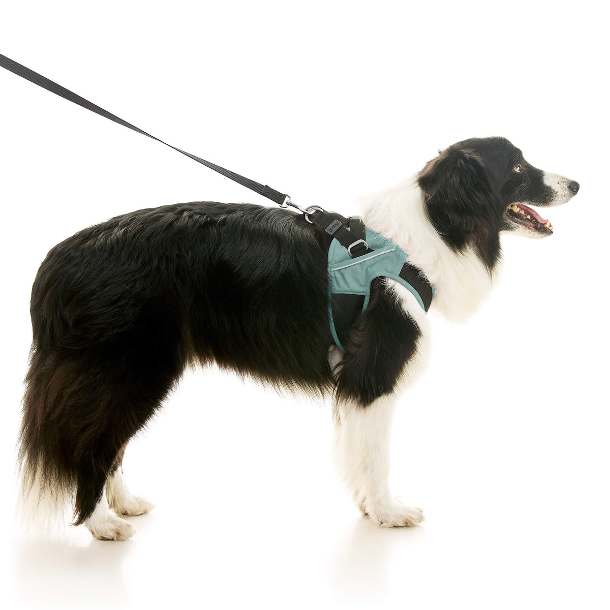 Escape Free Easy Fit X