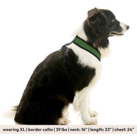 Comfort X Dual Snap Mesh