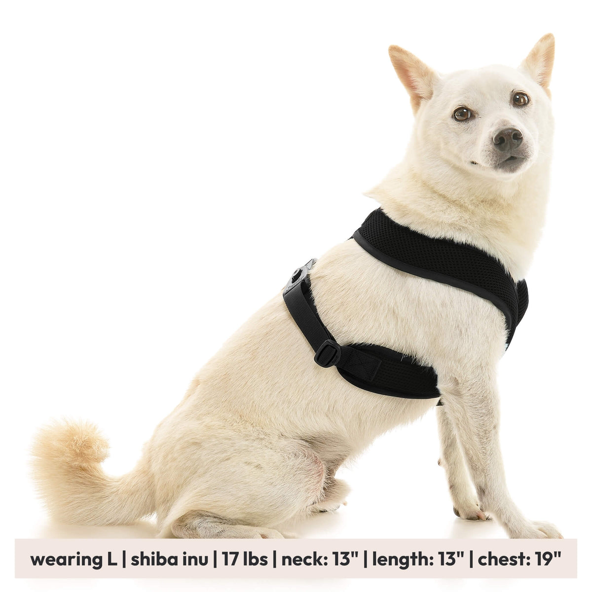 Comfort X Dual Snap Mesh