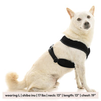 Comfort X Dual Snap Mesh