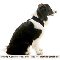 Comfort X Dual Snap Mesh