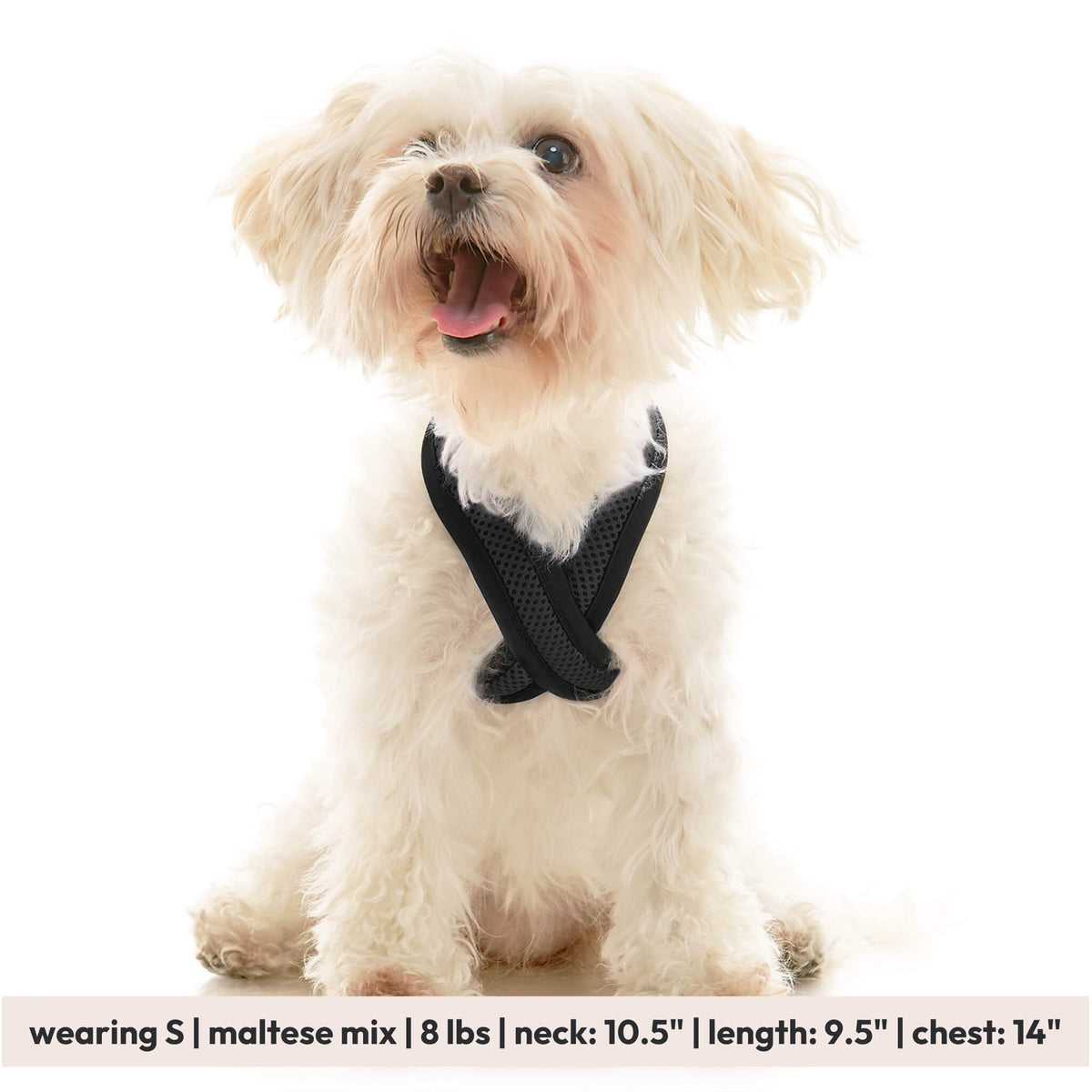 Comfort X Dual Snap Mesh