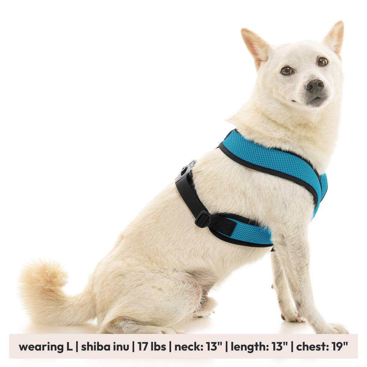 Comfort X Dual Snap Mesh