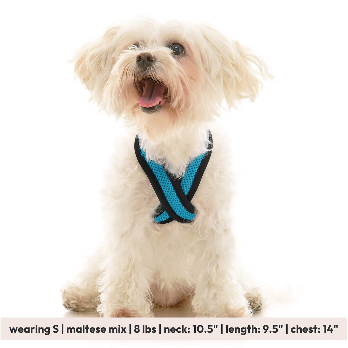 Comfort X Dual Snap Mesh