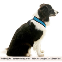 Comfort X Dual Snap Mesh