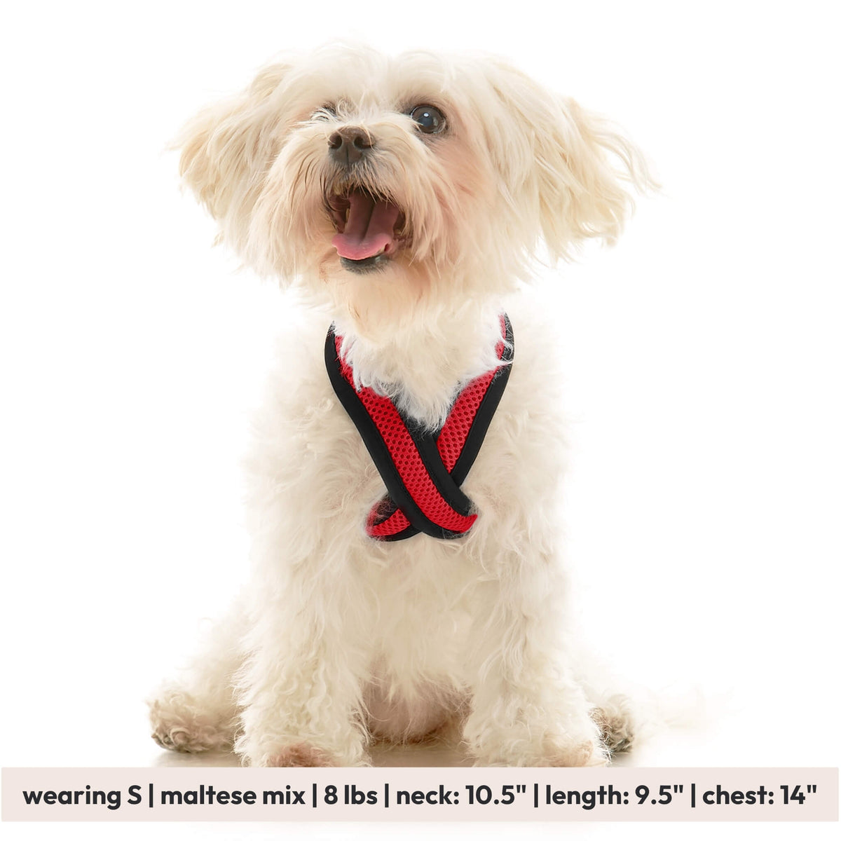 Comfort X Dual Snap Mesh