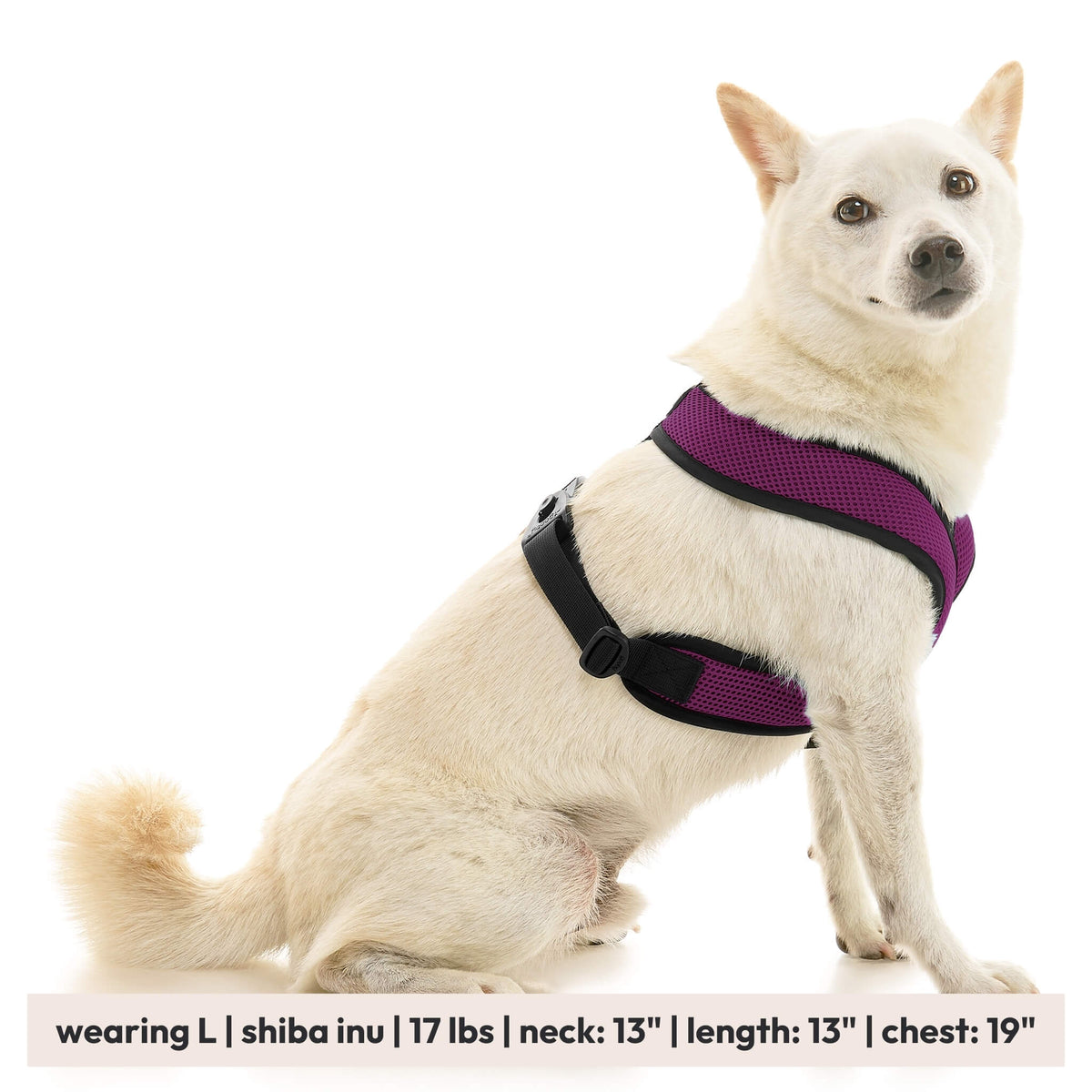 Comfort X Dual Snap Mesh