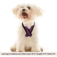 Comfort X Dual Snap Mesh