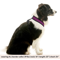 Comfort X Dual Snap Mesh