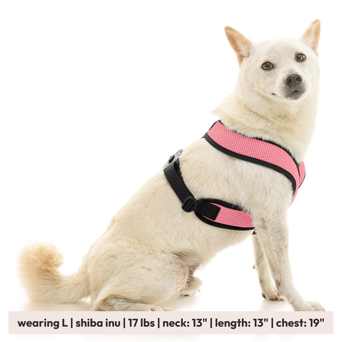 Comfort X Dual Snap Mesh