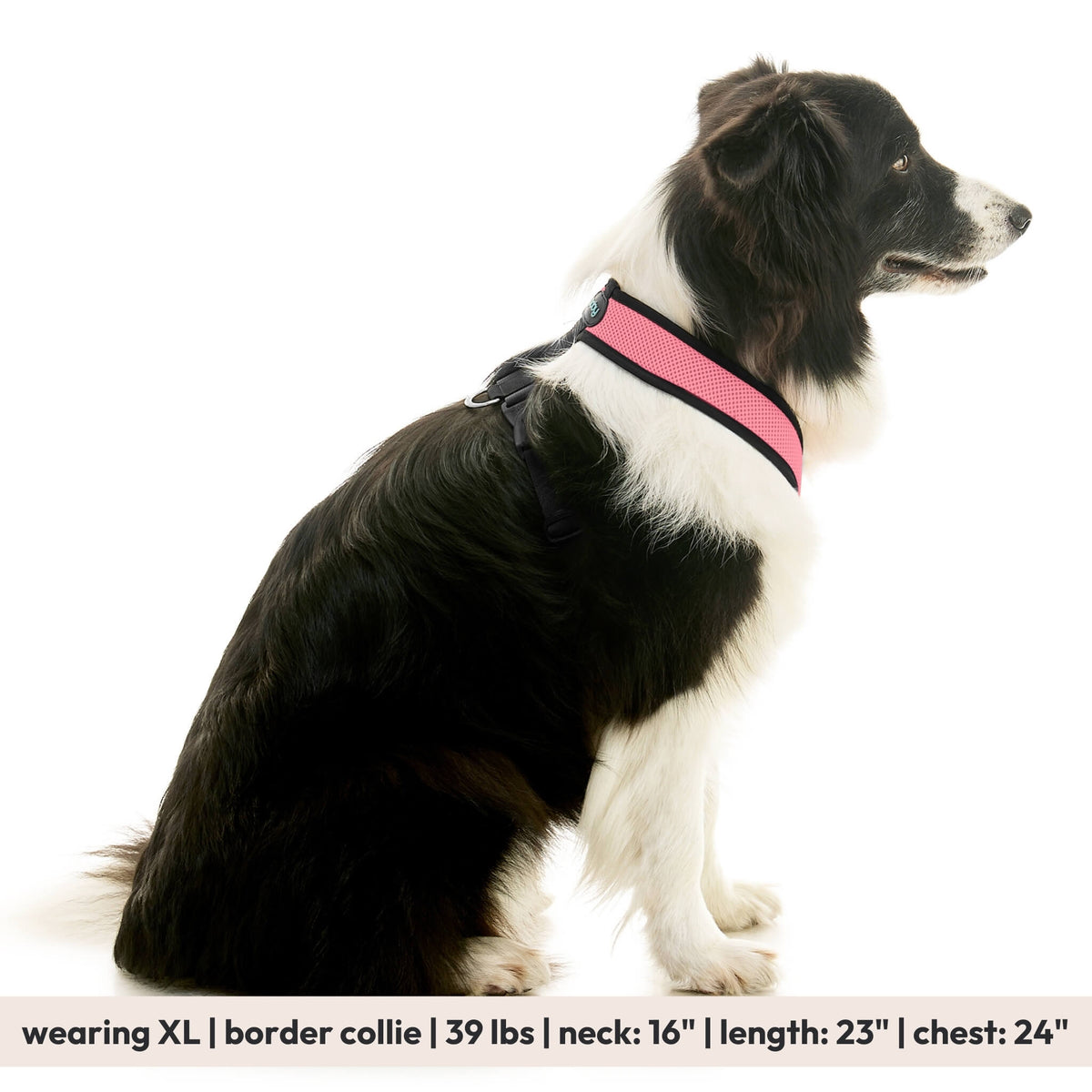 Comfort X Dual Snap Mesh