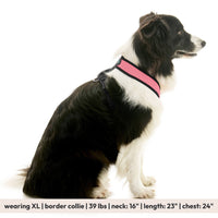 Comfort X Dual Snap Mesh