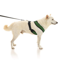 Comfort X Dual Snap Mesh