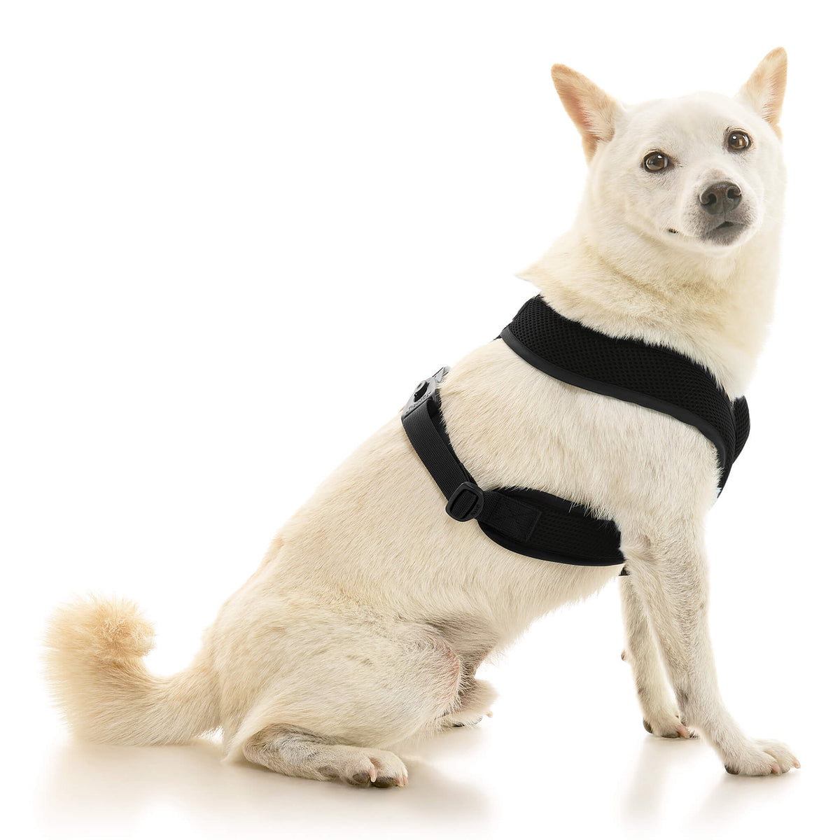 Comfort X Dual Snap Mesh