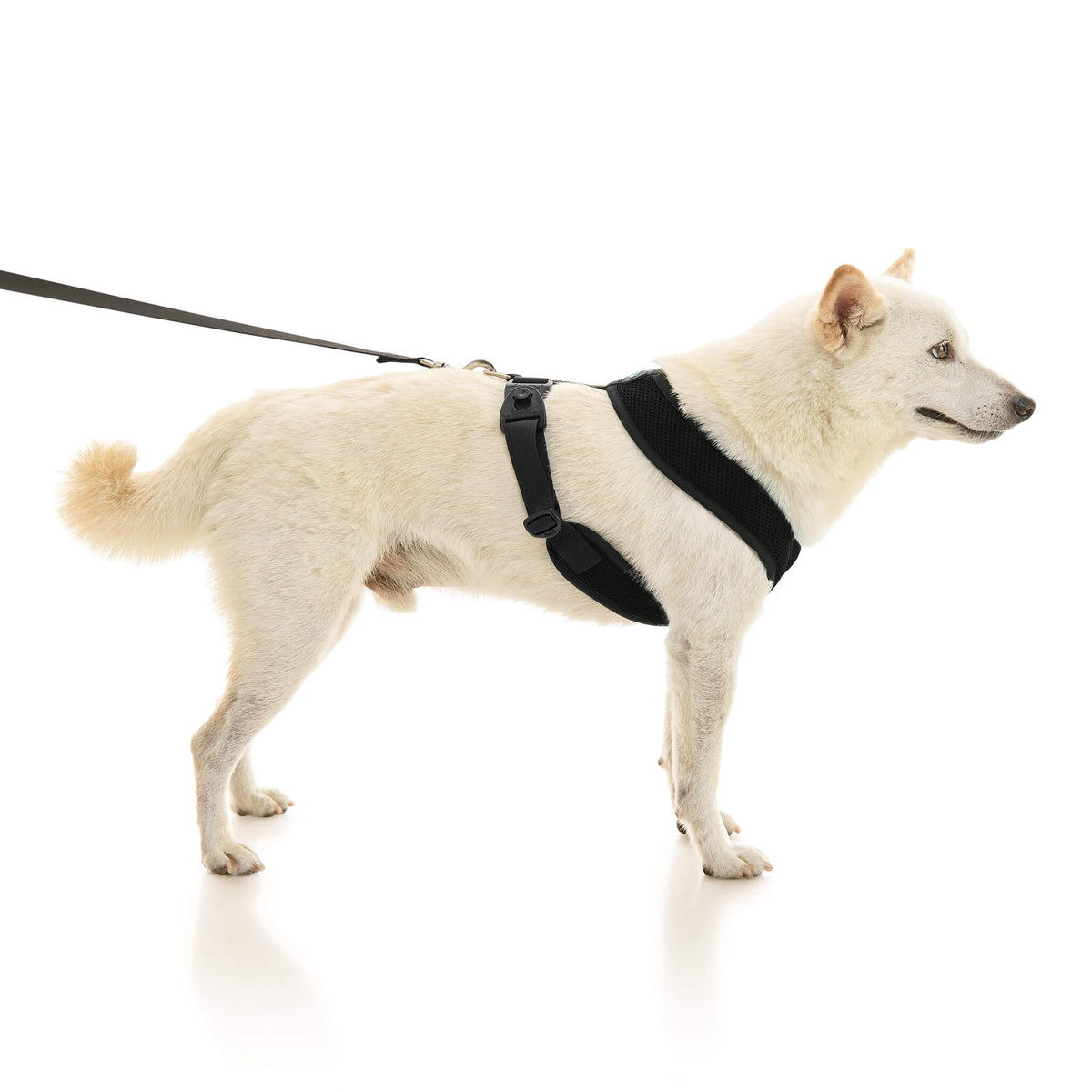 Comfort X Dual Snap Mesh