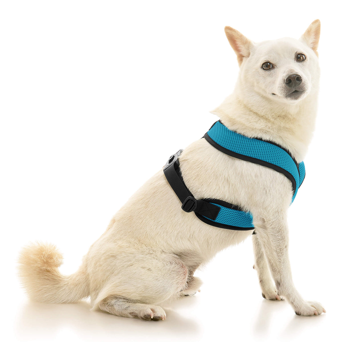 Comfort X Dual Snap Mesh