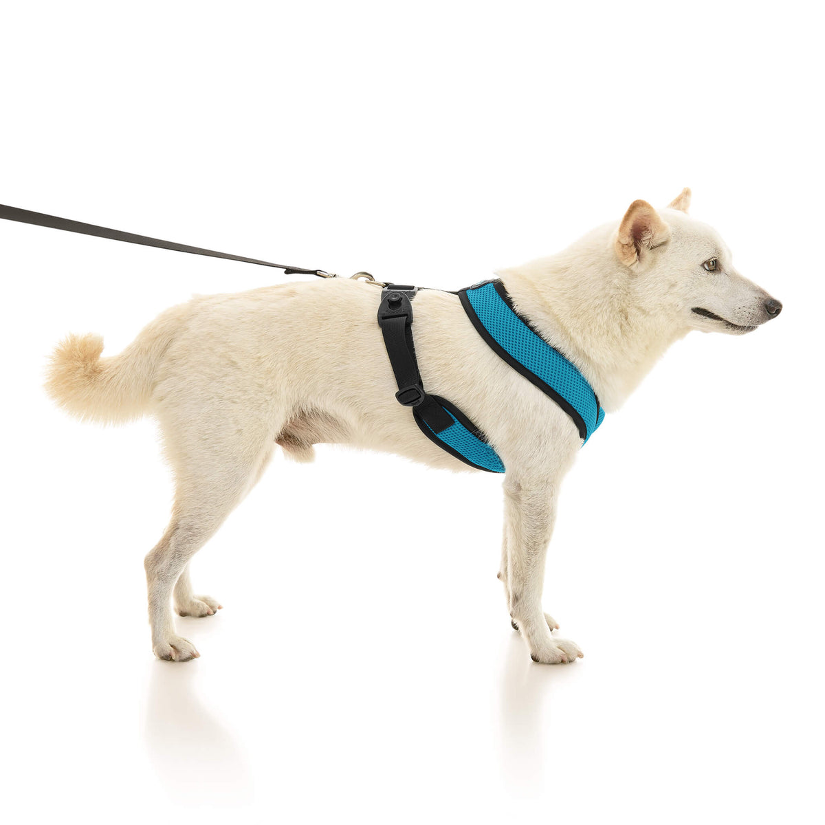 Comfort X Dual Snap Mesh