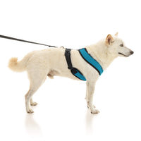 Comfort X Dual Snap Mesh