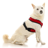 Comfort X Dual Snap Mesh