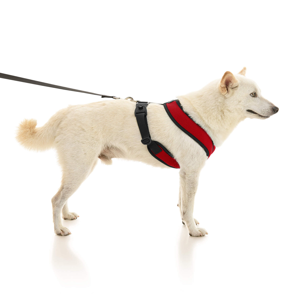 Comfort X Dual Snap Mesh