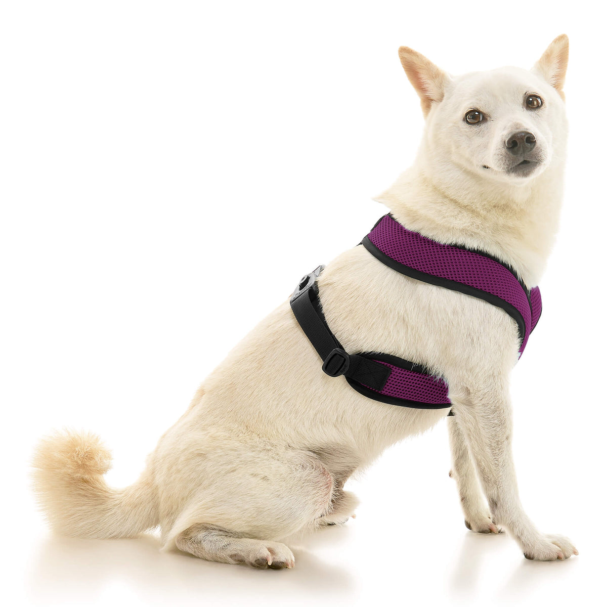 Comfort X Dual Snap Mesh