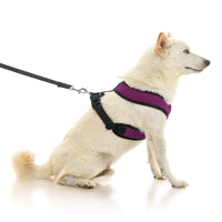 Comfort X Dual Snap Mesh