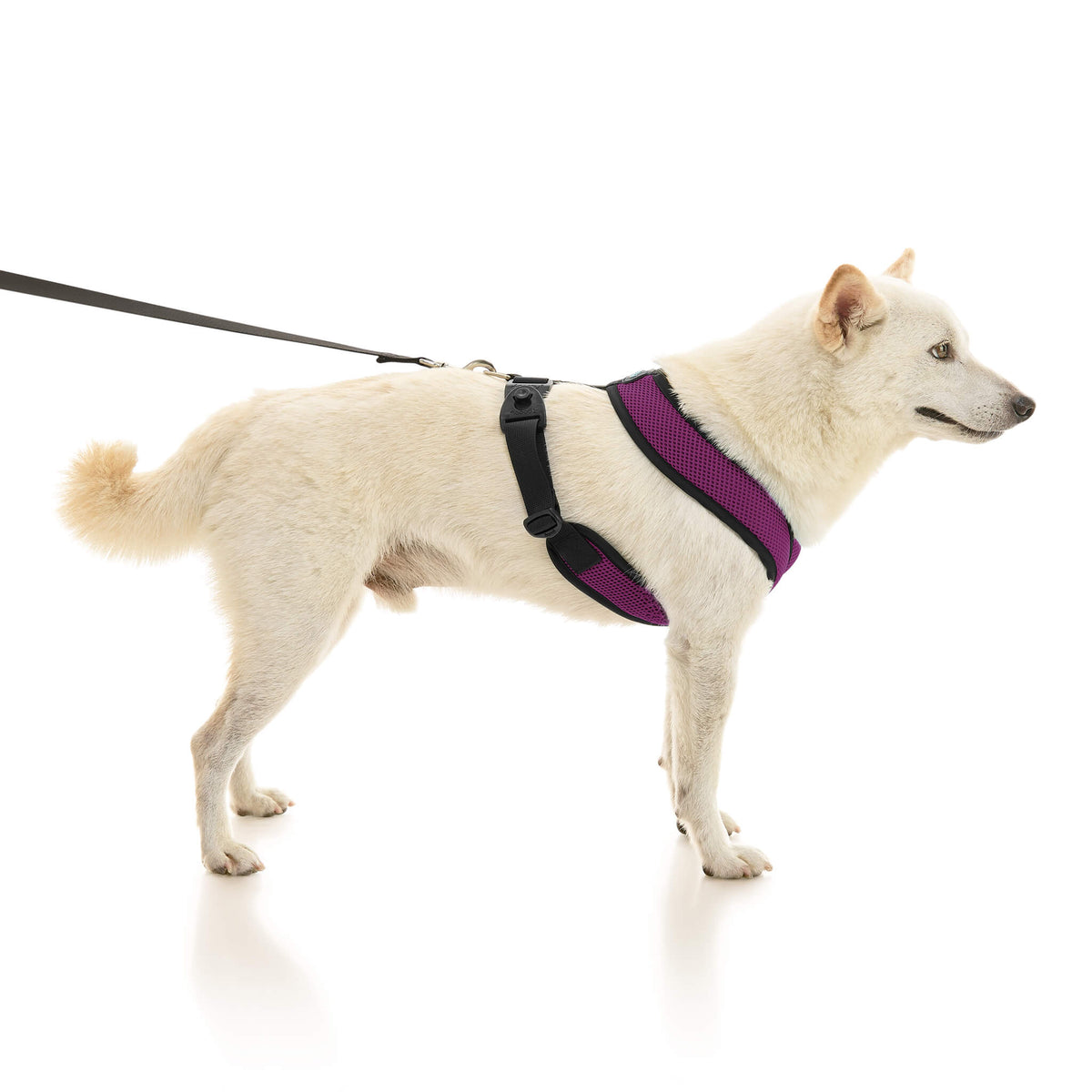 Comfort X Dual Snap Mesh