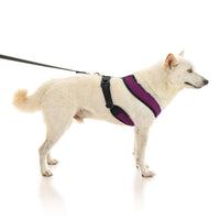 Comfort X Dual Snap Mesh