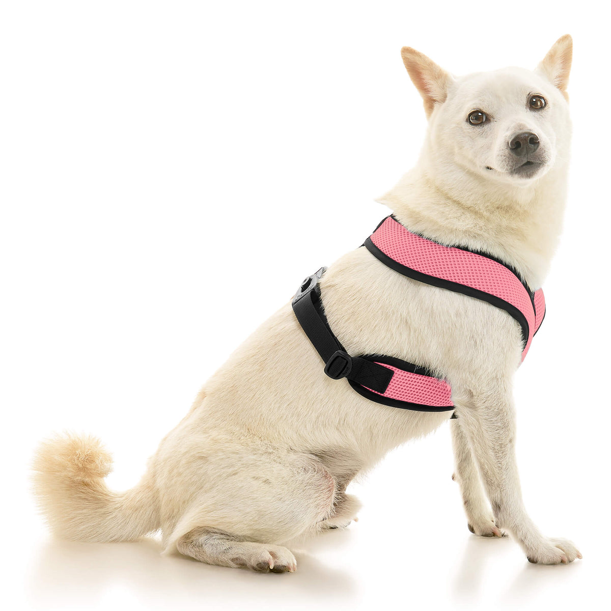 Comfort X Dual Snap Mesh