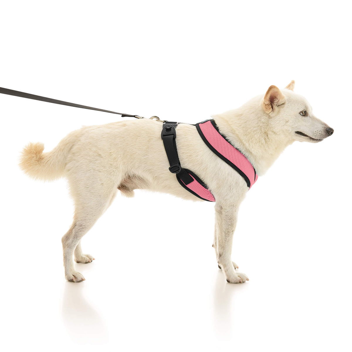 Comfort X Dual Snap Mesh