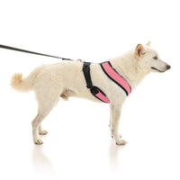 Comfort X Dual Snap Mesh