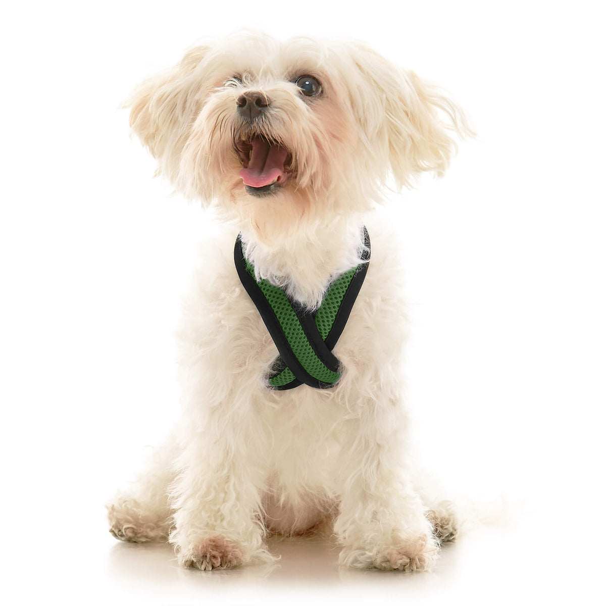 Comfort X Dual Snap Mesh