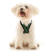 Comfort X Dual Snap Mesh