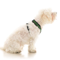 Comfort X Dual Snap Mesh